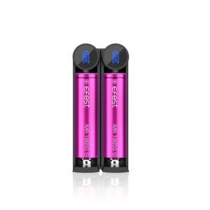 EFEST SLIM K2 SMART Charger